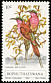 Southern Carmine Bee-eater Merops nubicoides  1980 Birds 