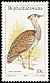Kori Bustard Ardeotis kori  1983 Birds of the veld 