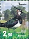 Northern Lapwing Vanellus vanellus  2019 Europa Booklet with 3 sets