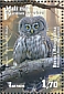 Eurasian Pygmy Owl Glaucidium passerinum