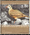 Rock Partridge Alectoris graeca  2003 Fauna 