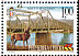 Western Osprey Pandion haliaetus  2000 Bridges 