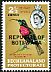 Scarlet-chested Sunbird Chalcomitra senegalensis  1966 Overprint REPUBLIC OF BOTSWANA on Bechuanaland 1961.01 