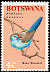 Blue Waxbill Uraeginthus angolensis  1967 Birds 