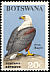 African Fish Eagle Haliaeetus vocifer  1967 Birds 