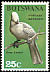Grey Go-away-bird Crinifer concolor