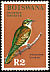Diederik Cuckoo Chrysococcyx caprius  1967 Birds 