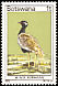 Northern Black Korhaan Afrotis afraoides  1978 Birds 