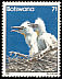 Western Cattle Egret Bubulcus ibis  1982 Birds 
