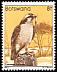 Lanner Falcon Falco biarmicus  1982 Birds 