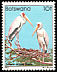 Yellow-billed Stork Mycteria ibis