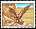 Cape Vulture Gyps coprotheres  1982 Birds 