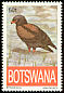 Bateleur Terathopius ecaudatus