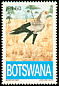 Secretarybird Sagittarius serpentarius  1993 Endangered eagles 