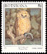 Pel's Fishing Owl Scotopelia peli  1997 Birds 