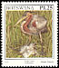 Purple Heron Ardea purpurea  1997 Birds 