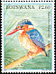 Malachite Kingfisher Corythornis cristatus  2007 Kingfishers 