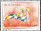 Grey Crowned Crane Balearica regulorum  2009 Threatened birds 