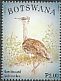 Kori Bustard Ardeotis kori  2014 Birds 