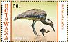 Kori Bustard Ardeotis kori  2017 Bustards Sheet