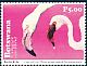 Greater Flamingo Phoenicopterus roseus  2018 Flamingos Sheet