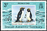 Macaroni Penguin Eudyptes chrysolophus  1979 Penguins 