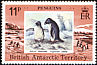 Adelie Penguin Pygoscelis adeliae