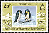 Emperor Penguin Aptenodytes forsteri