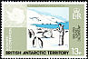 Adelie Penguin Pygoscelis adeliae