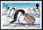 Adelie Penguin Pygoscelis adeliae  1998 Birds 