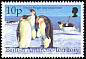 Emperor Penguin Aptenodytes forsteri  1998 Birds 