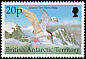 Antarctic Tern Sterna vittata  1998 Birds 
