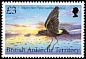 Wilson's Storm Petrel Oceanites oceanicus  1998 Birds 
