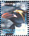 Macaroni Penguin Eudyptes chrysolophus  2003 Penguins of the Antarctic Sheet