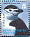 Chinstrap Penguin Pygoscelis antarcticus