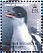 Gentoo Penguin Pygoscelis papua  2003 Penguins of the Antarctic Sheet