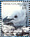 Chinstrap Penguin Pygoscelis antarcticus  2003 Penguins of the Antarctic Sheet