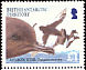 Antarctic Petrel Thalassoica antarctica  2005 BirdLife International - Petrels 