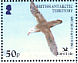 Southern Giant Petrel Macronectes giganteus  2005 BirdLife International - Petrels Sheet