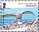 Southern Giant Petrel Macronectes giganteus  2005 BirdLife International - Petrels Sheet