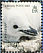 Chinstrap Penguin Pygoscelis antarcticus  2006 Penguins of the Antarctic Sheet