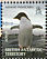 Adelie Penguin Pygoscelis adeliae  2006 Penguins of the Antarctic Sheet