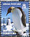 Emperor Penguin Aptenodytes forsteri  2006 Penguins of the Antarctic Sheet