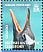 Gentoo Penguin Pygoscelis papua  2008 Penguins of the Antarctic Sheet