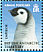 Emperor Penguin Aptenodytes forsteri  2008 Penguins of the Antarctic Sheet