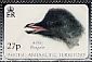 Adelie Penguin Pygoscelis adeliae