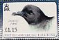 Antarctic Petrel Thalassoica antarctica