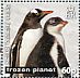 Gentoo Penguin Pygoscelis papua  2011 Frozen planet Sheet