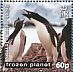 Adelie Penguin Pygoscelis adeliae  2011 Frozen planet Sheet