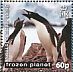 Adelie Penguin  Pygoscelis adeliae